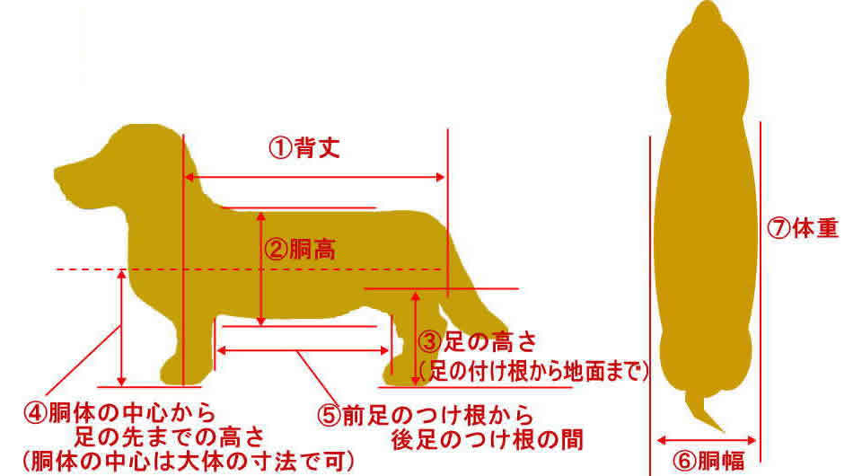 採寸箇所