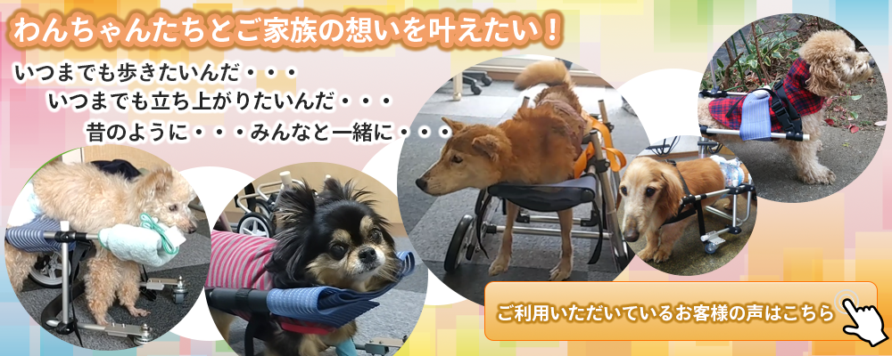 わんワーク犬用歩行器　お客様の声