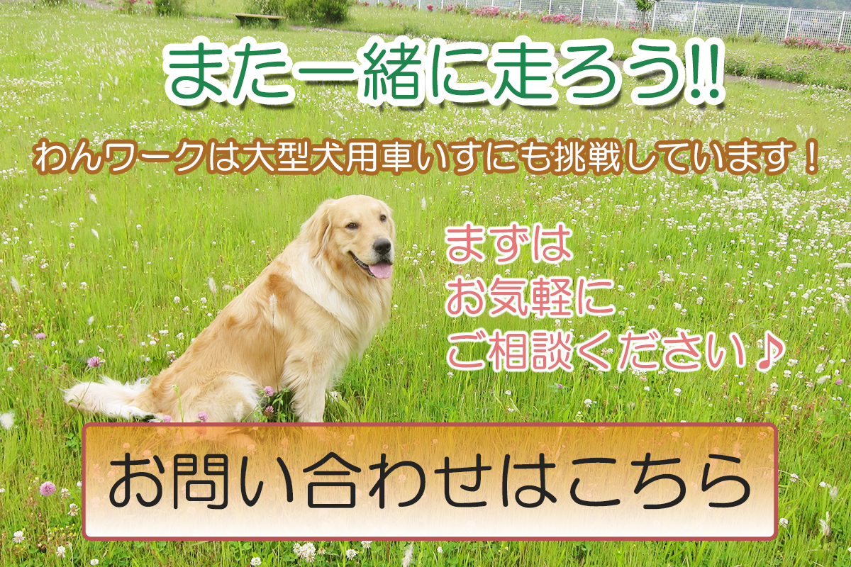 わんワーク犬用歩行器　大型犬用